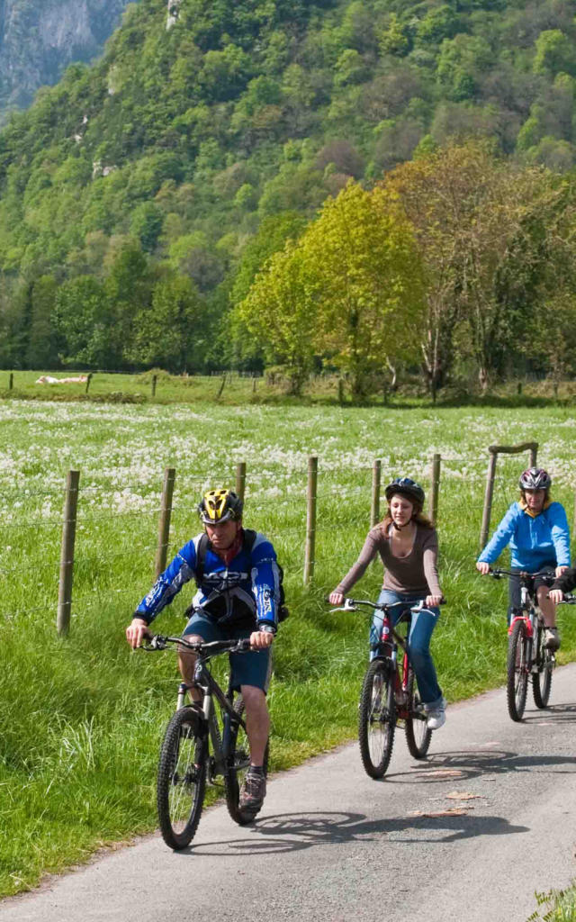 Paseo en bicicleta de montaña