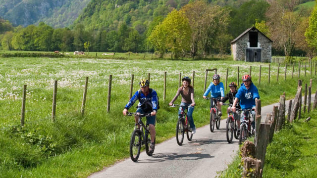 Groupe de randonneurs en VTT dans une vallée