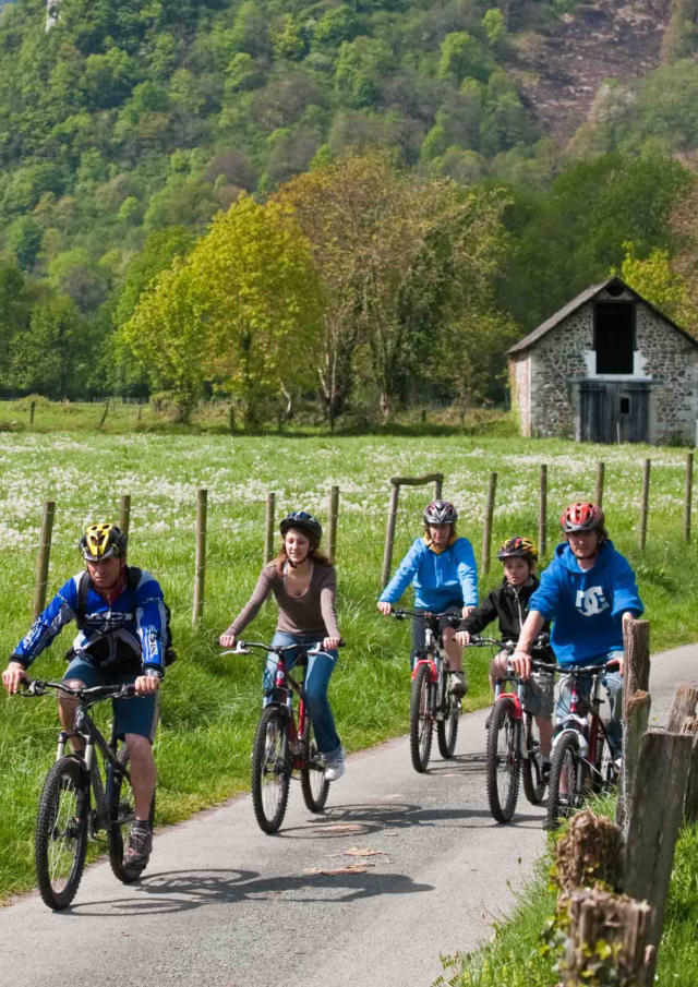 Paseo en bicicleta de montaña