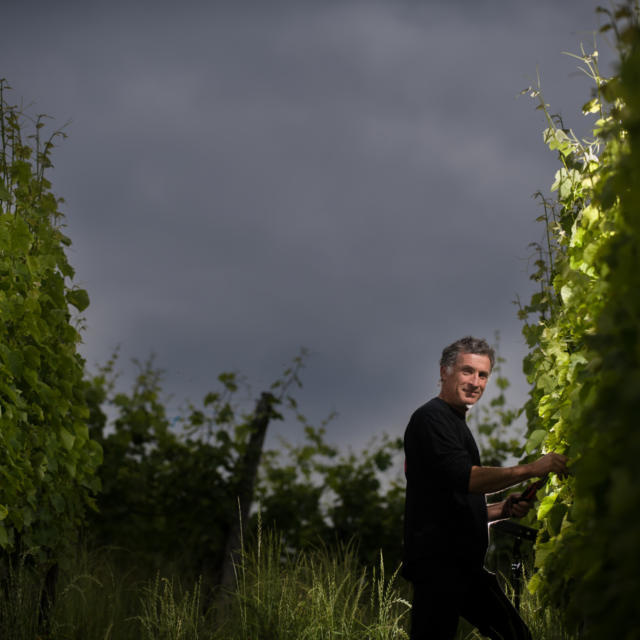 Producteur du Domaine Tinou à Lasseube