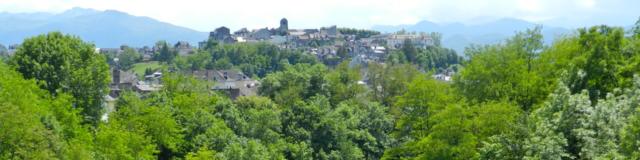 Vue sur le gave d'Ossau et sur le quartier Sainte-Croix d'Oloron Sainte-Marie