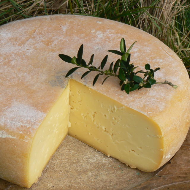 Tomme de fromage de brebis coupée