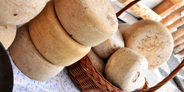 Étal de fromages fermiers des Pyrénées