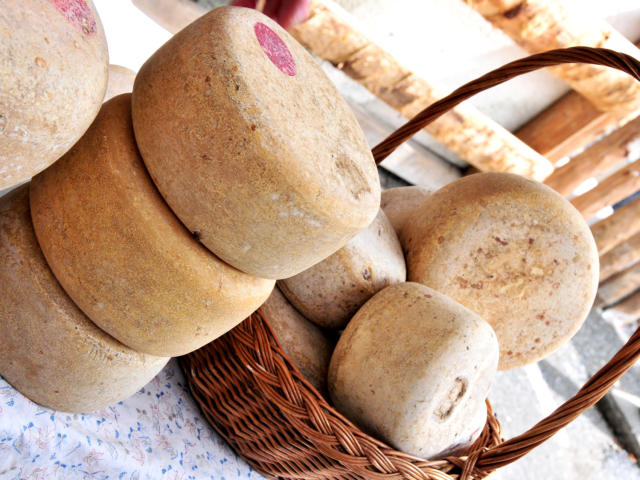 Étal de fromages fermiers des Pyrénées