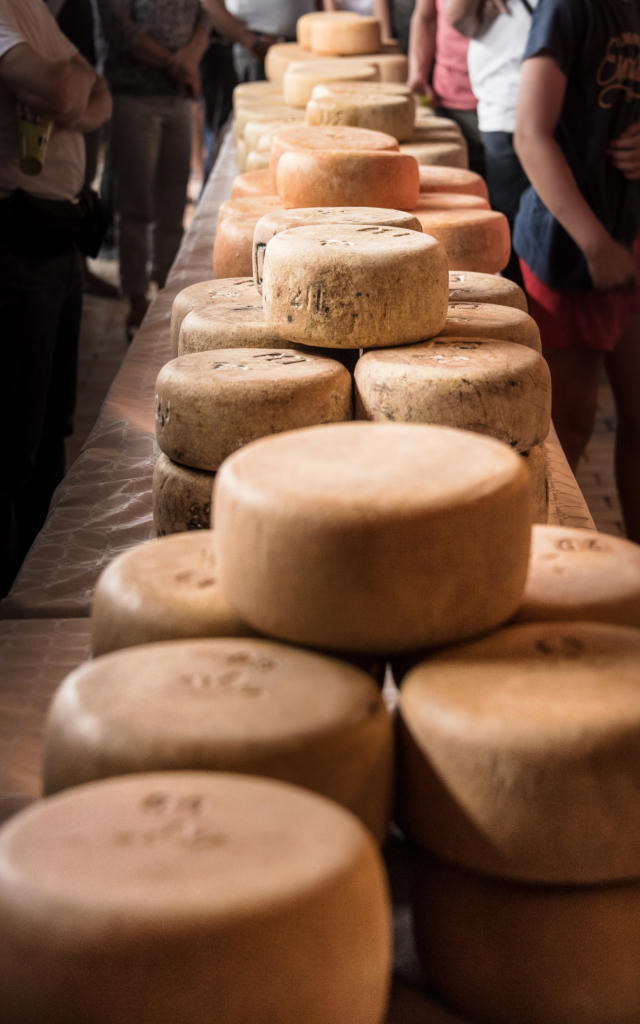 Présentation des fromages posés sur des tables lors de la fête des bergers à Aramits