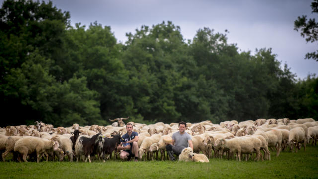 Granja Mounet en Ogeu-les-Bains