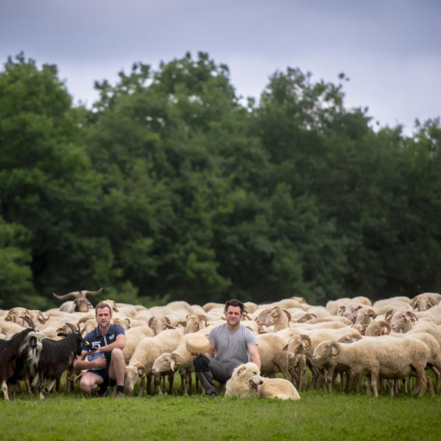 Producteurs du Gaec Mounet à Ogeu-les-Bains avec ses brebis et son fromage