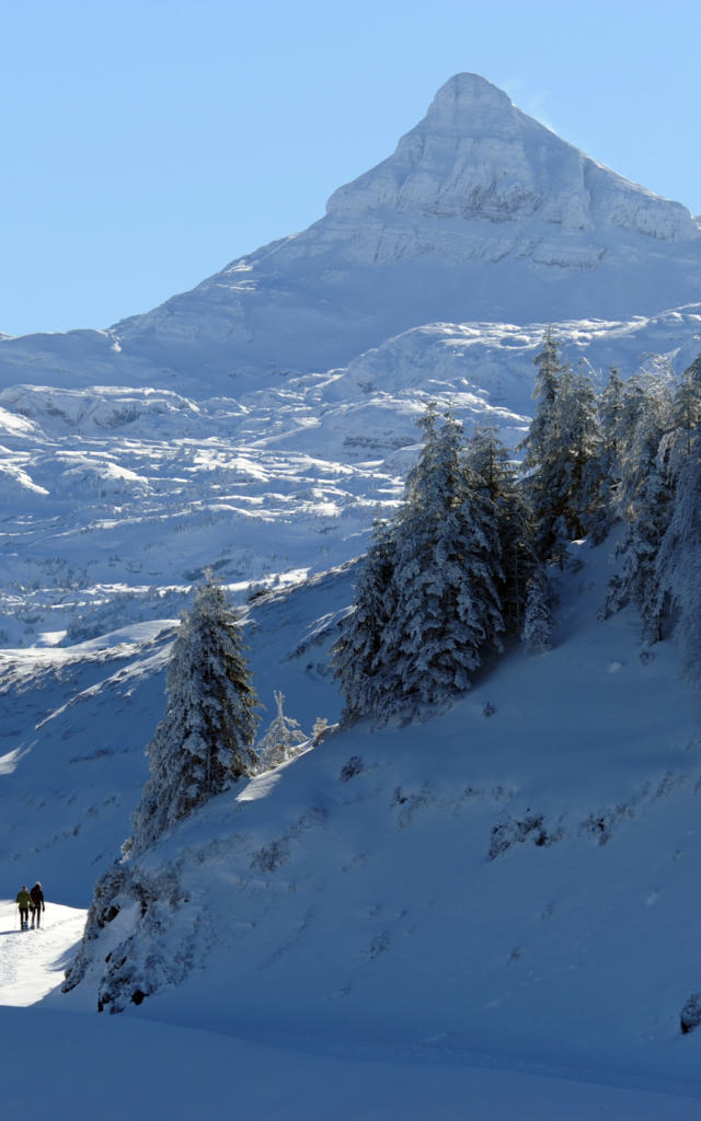 Raquetas de nieve en Issarbe