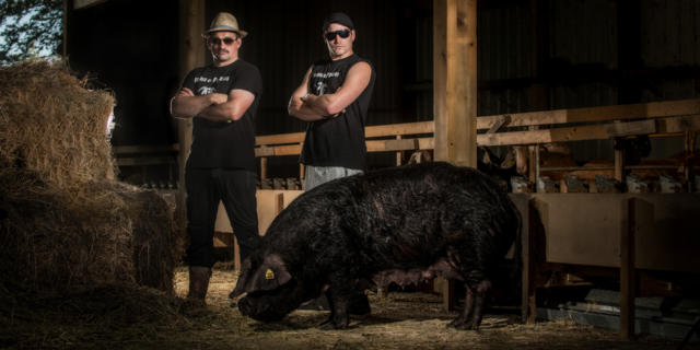 Producteurs de La Ferme du Payssas à Asasp-Arros avec un cochon noir