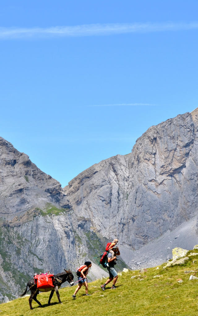 Une famille de randonneurs avec un âne marche dans la montagne