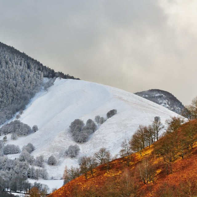 Contraste d'un flanc de montagne enneigé et d'un flanc de montagne aux couleurs d'automne à Lèes Athas