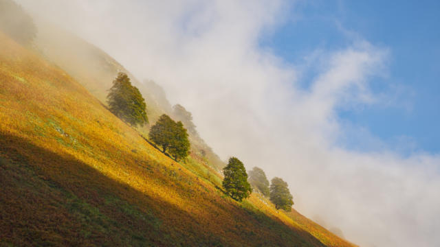 Paysage de montagne dans le cirque de Lescun en vallée d'Aspe