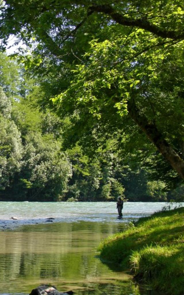 Pescador en un rio de Oloron