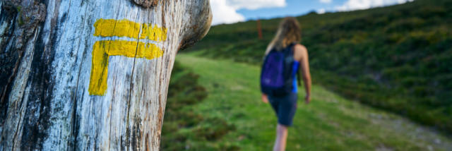 randonneuse passant à côté d'une signalétique directionnelle sur un arbre