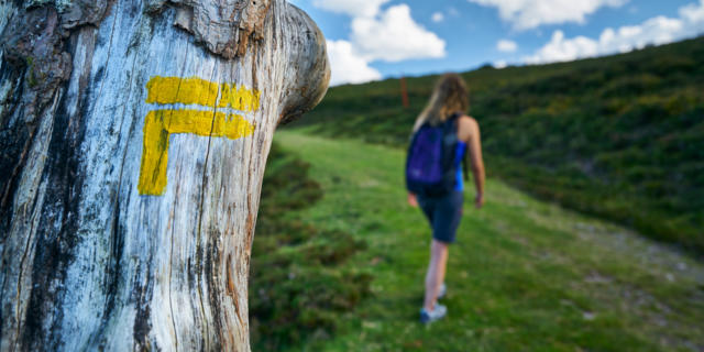 randonneuse passant à côté d'une signalétique directionnelle sur un arbre