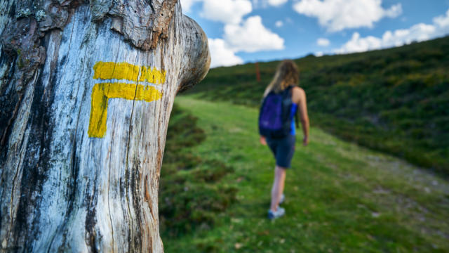 randonneuse passant à côté d'une signalétique directionnelle sur un arbre