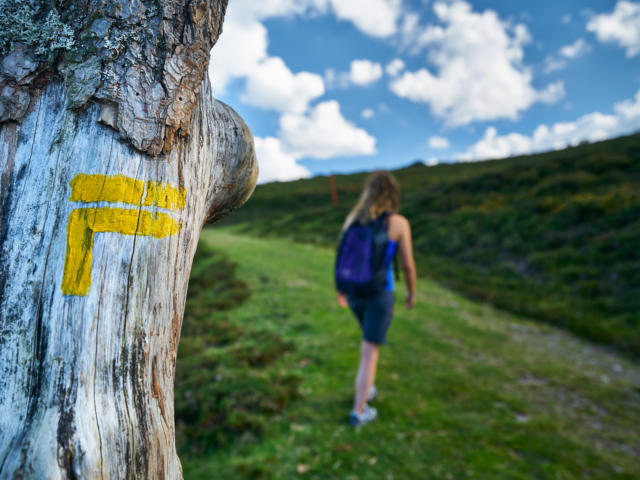 randonneuse passant à côté d'une signalétique directionnelle sur un arbre