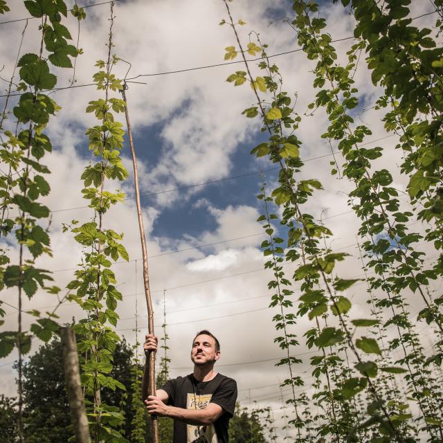 Producteur de la Brasserie de l'Arrec à Estialecq