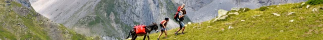 Une famille de randonneurs avec un âne marche dans la montagne