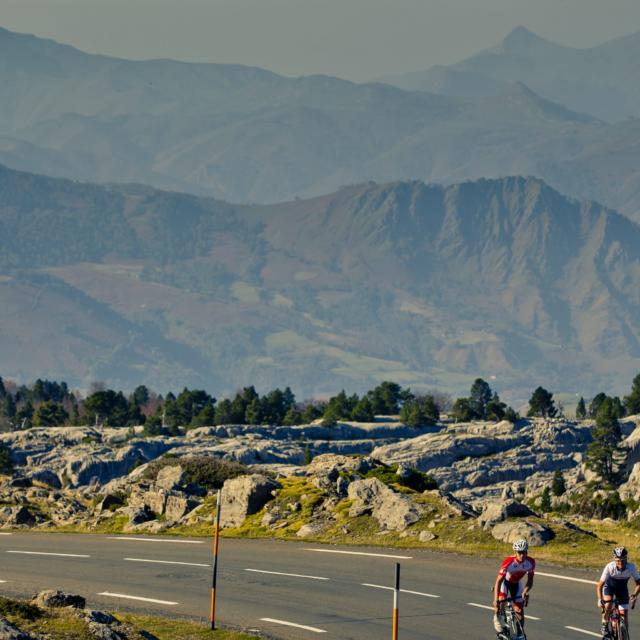 Cyclistes effectuant l'ascencion du Col De La Pierre St Martin