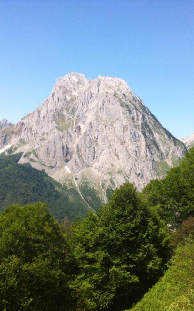 Panorama de montagne : Hêtraie