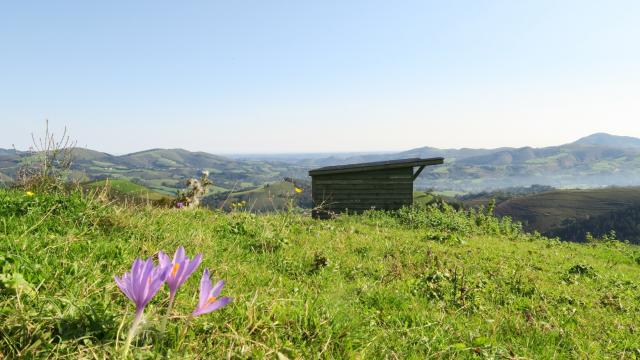 Vue en montant aux Pantières de Lanne en Barétous