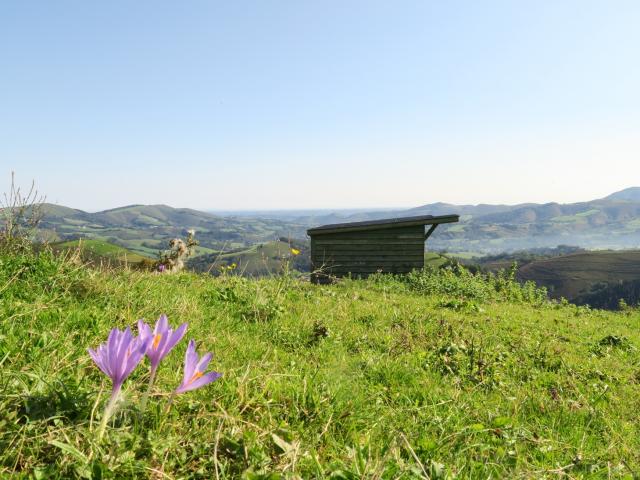 Vue en montant aux Pantières de Lanne en Barétous