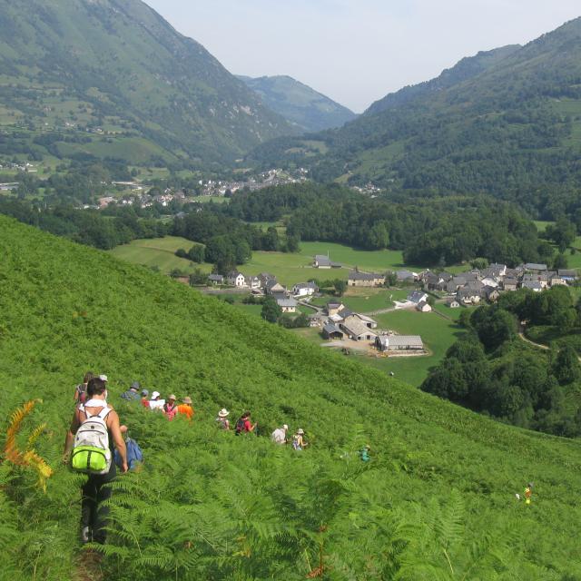 On descend du Pouey d’Accous, butte d’ophite restée en relief dans le vallon (Pyrénées béarnaises)