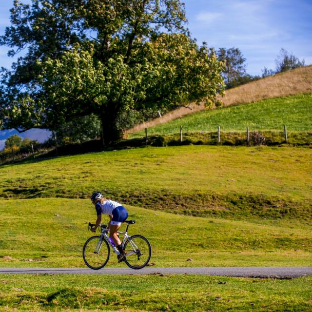 Ciclista en una carretera