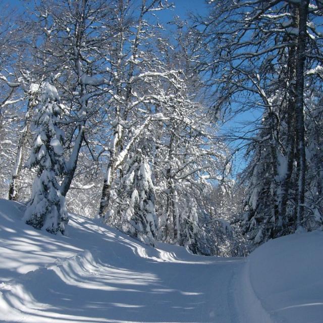 Piste Espace Nordique La Pierre Saint Martin Le Braca