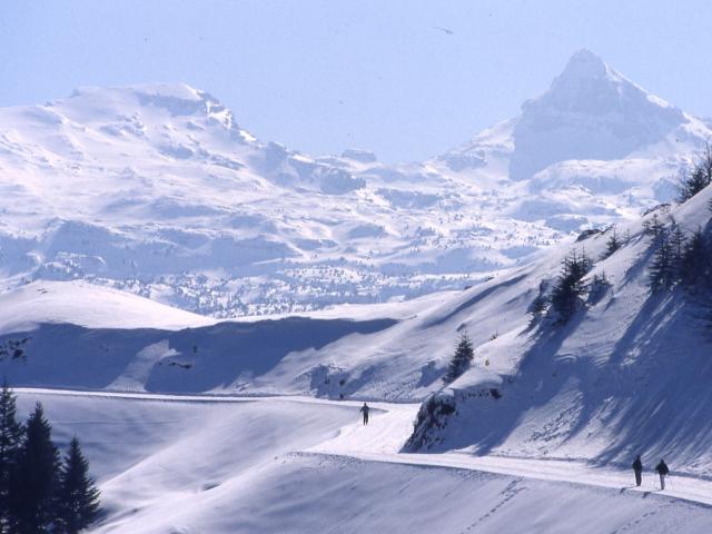 Vue depuis les pistes de ski de fond de l'espace nordique d'Issarbe, vallée de Barétous, Pyrénées-Béarnaises