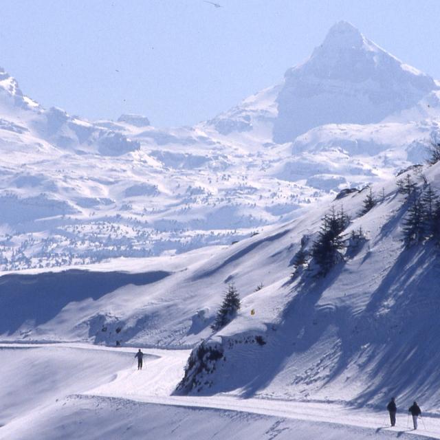 Vue depuis les pistes de ski de fond de l'espace nordique d'Issarbe, vallée de Barétous, Pyrénées-Béarnaises