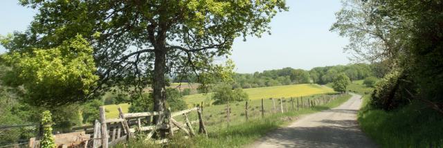 Pratiquet le gravel en Pyrénérées Béarnaises