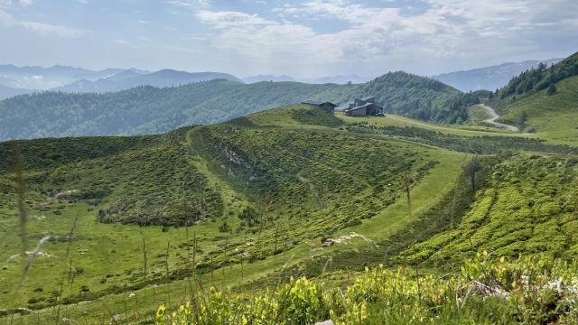 Vue d'Issarbe au début de l'été (Pyrénées béarnaises).Point de départ de nombreuses randonnées à VTT ou à pied.