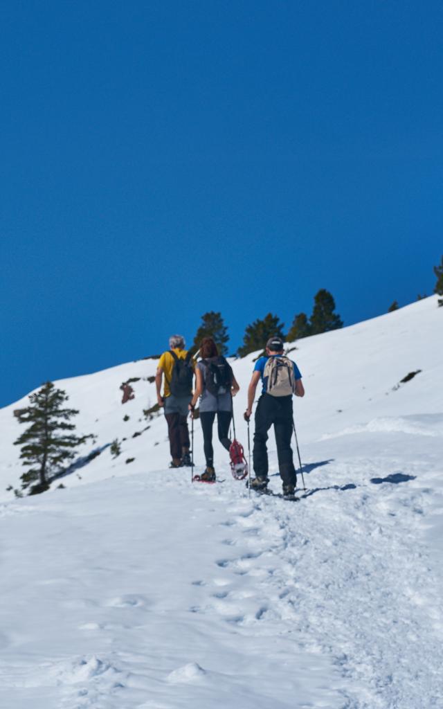 Raquettes à neige en Pyrénées béarnaises, vallée d'Aspe, espace nordique du Somport