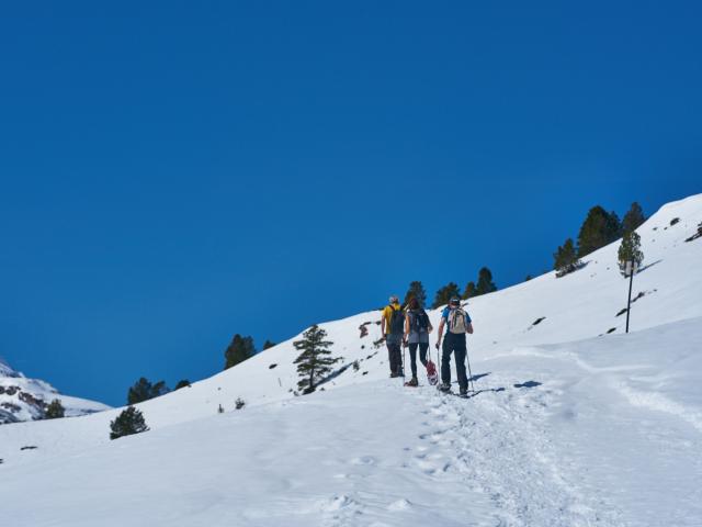 Raquettes à neige en Pyrénées béarnaises, vallée d'Aspe, espace nordique du Somport