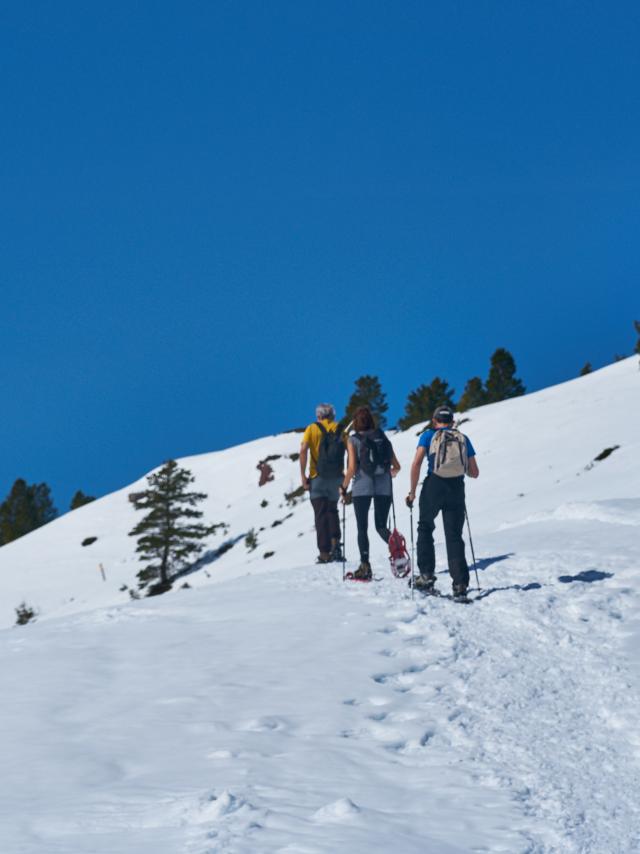 Raquettes à neige en Pyrénées béarnaises, vallée d'Aspe, espace nordique du Somport