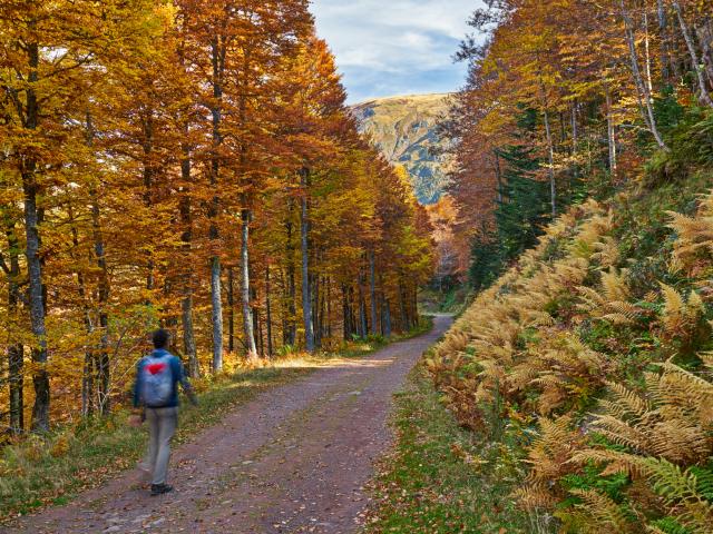 Les couleurs d'automne subliment les randonnées en Pyrénées béarnaises