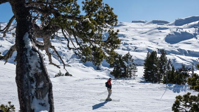 Ski alpin à la station de La Pierre Saint-Martin