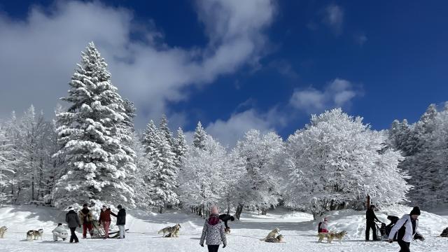 Espace nordique de La Pierre Saint-Martin en Pyrénées Béarnaises