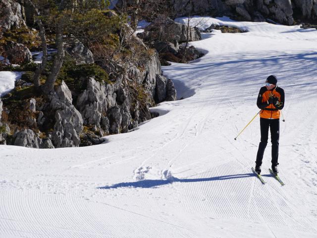 Skieur De Fond 1