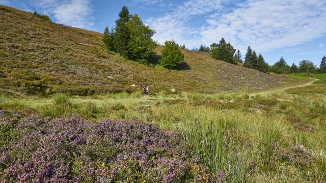 En été le domaine d'Issarbe est un site d'exception pour pratiquer la randonnée