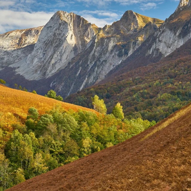 montagne de la Valée d'Aspe en Automne