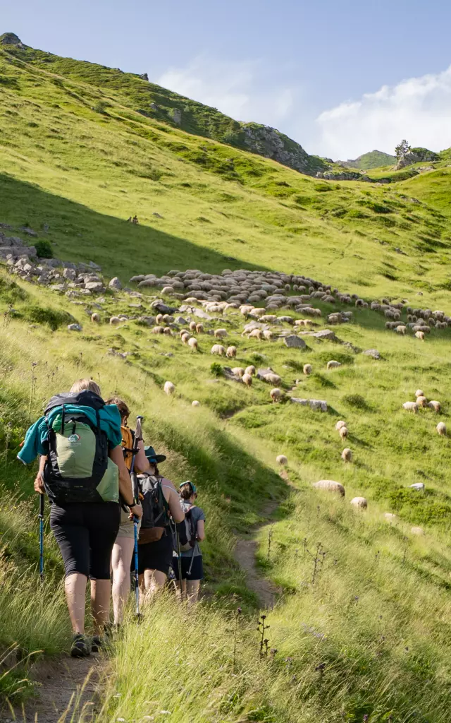 Randonnée en Pyrénées béarnaises 1 choix considérable de sentiers de tous niveaux