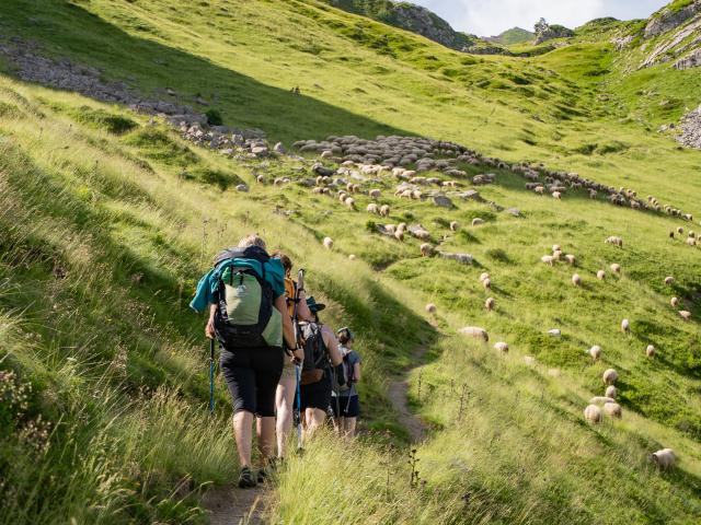 Randonnée en Pyrénées béarnaises 1 choix considérable de sentiers de tous niveaux