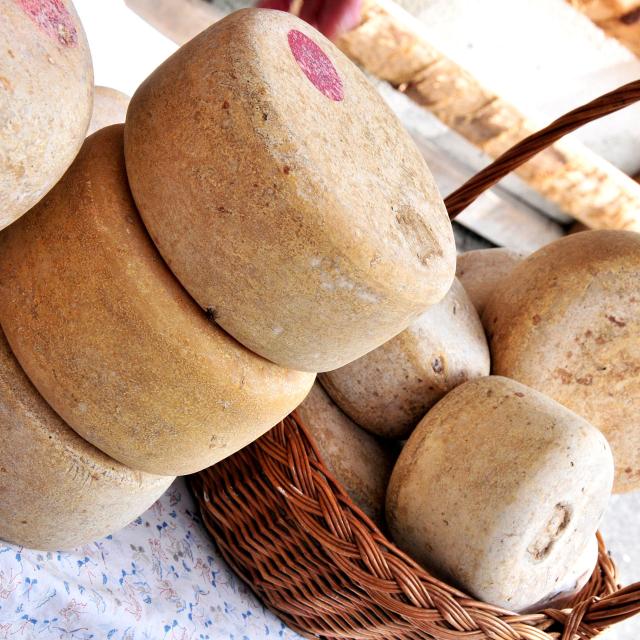 Fromages fermiers sur table de marché