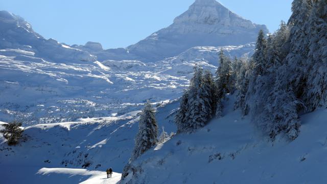 L'espace nordique d'Issarbe est un site protégé qui permet de profiter pleinement de la nature et des paysages