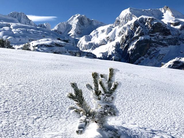 Paysages enneigés à l'Espace Somport dans la zone Cœur du Parc national des Pyrénées