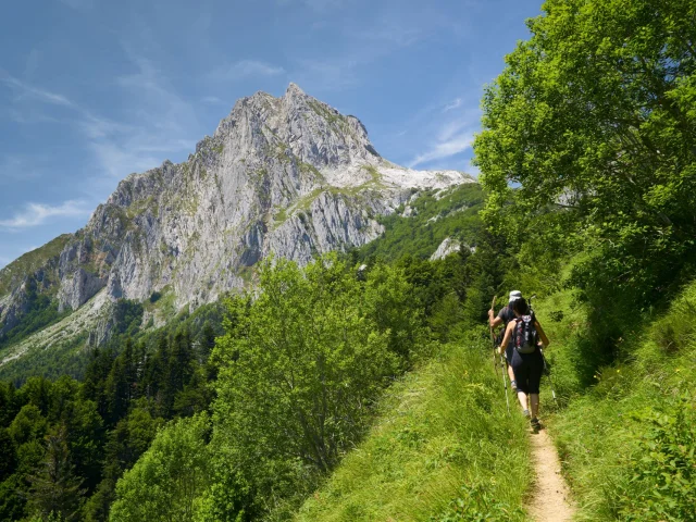 Activité Pleine Nature Printemps avec randonneur